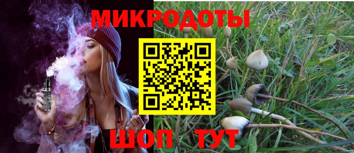Шали  Галлюциногенные грибы прущие грибы  Вход с VPN  Псилоцибиновые грибы GOLDEN TEACHER 